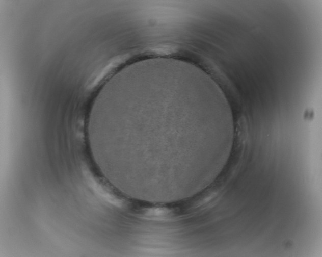 X0000113570212200910091446