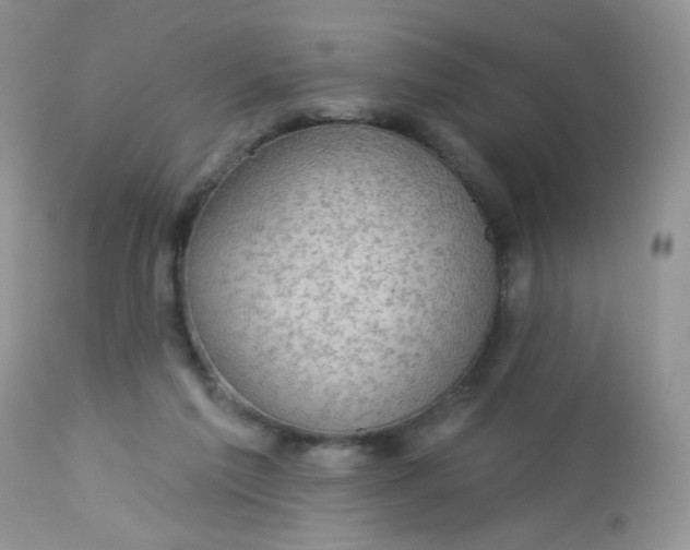 X0000113570213200910091446