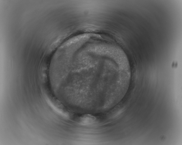 X0000113570215200910091446