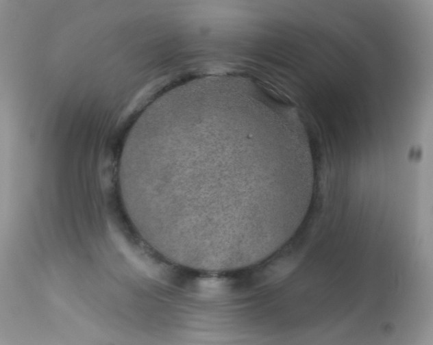 X0000113570216200910091446