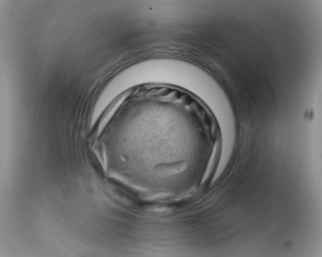 X0000113570217200910091446