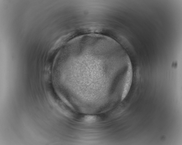 X0000113570218200910091446