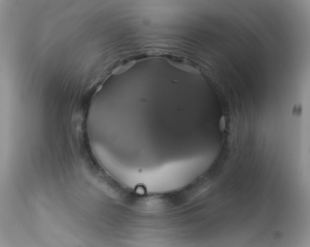 X0000113570219200910091446