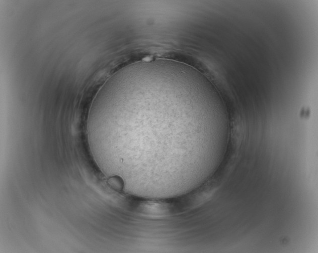 X0000113570221200910091446