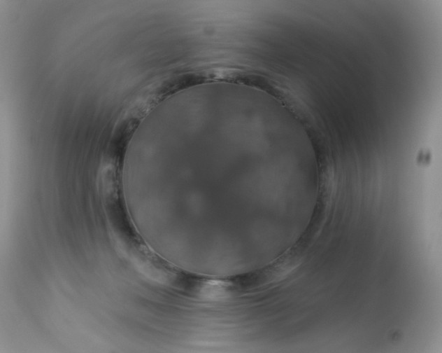 X0000113570222200910091446