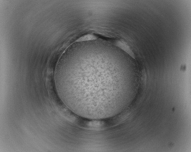 X0000113570225200910091446