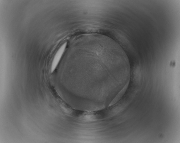 X0000113570228200910091446