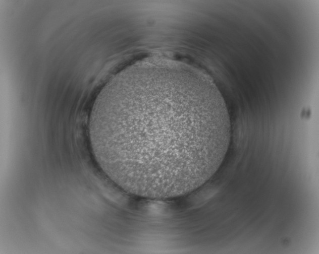 X0000113570229200910091446