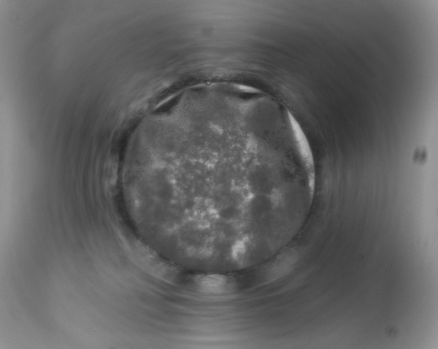 X0000113570230200910091446