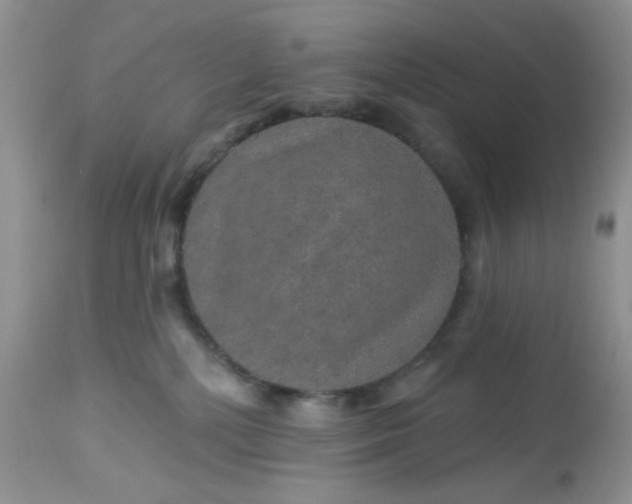 X0000113570232200910091446