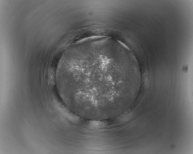 X0000113570234200910091446