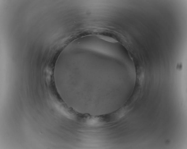 X0000113570235200910091446