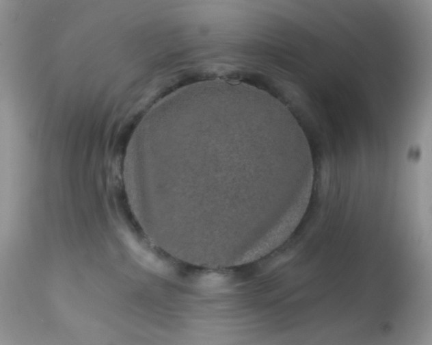 X0000113570236200910091446