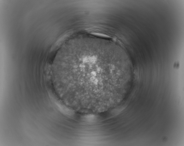 X0000113570237200910091446