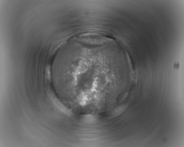 X0000113570238200910091446