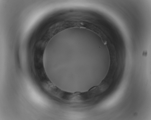 X0000113570239200910091446