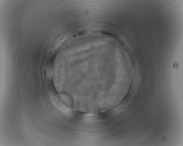 X0000113570240200910091446