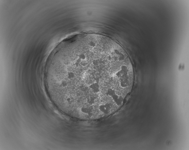 X0000113570241200910091445