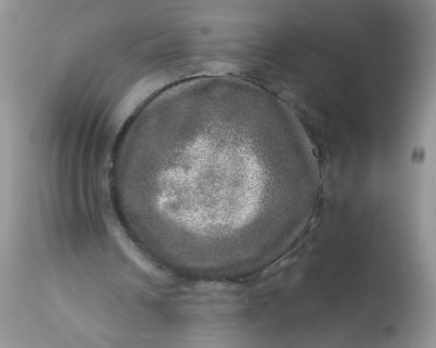 X0000113570242200910091445