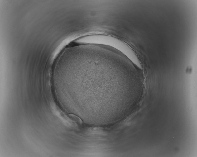 X0000113570244200910091445