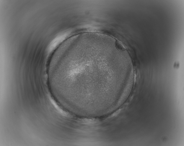 X0000113570245200910091445