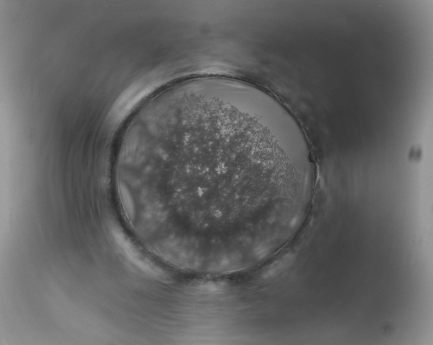 X0000113570247200910091445