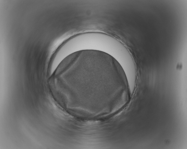 X0000113570248200910091445