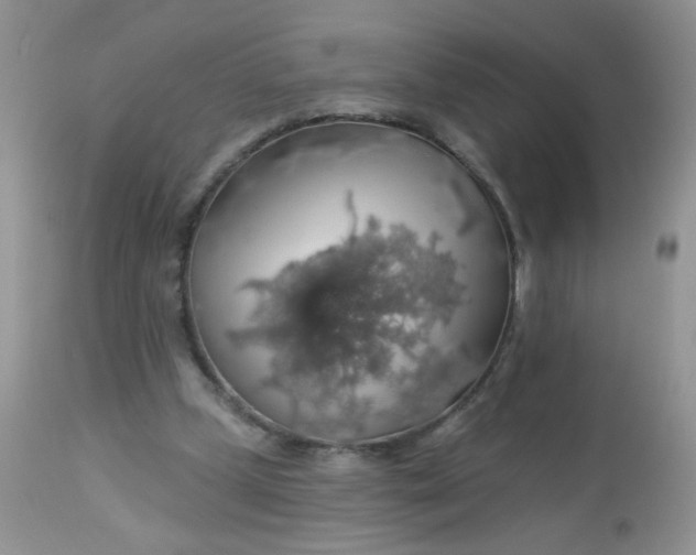 X0000113570249200910091445