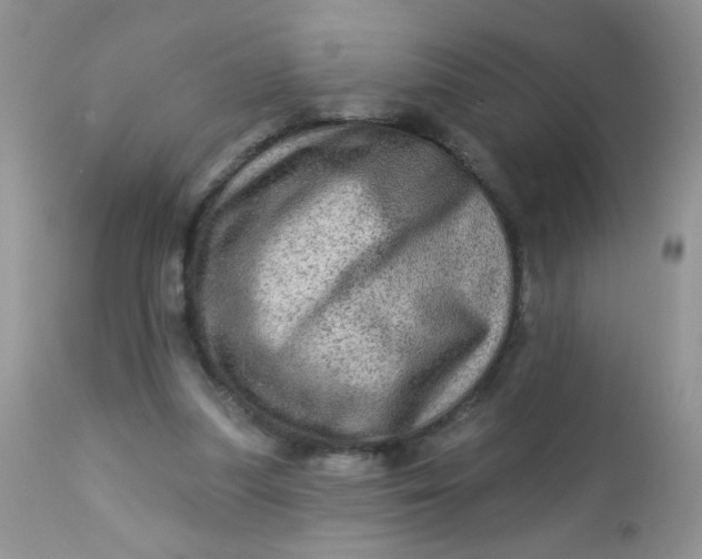 X0000113570251200910091445