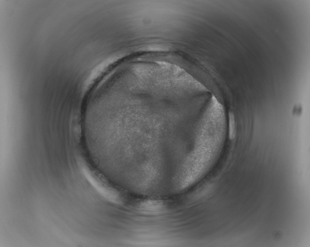 X0000113570252200910091445