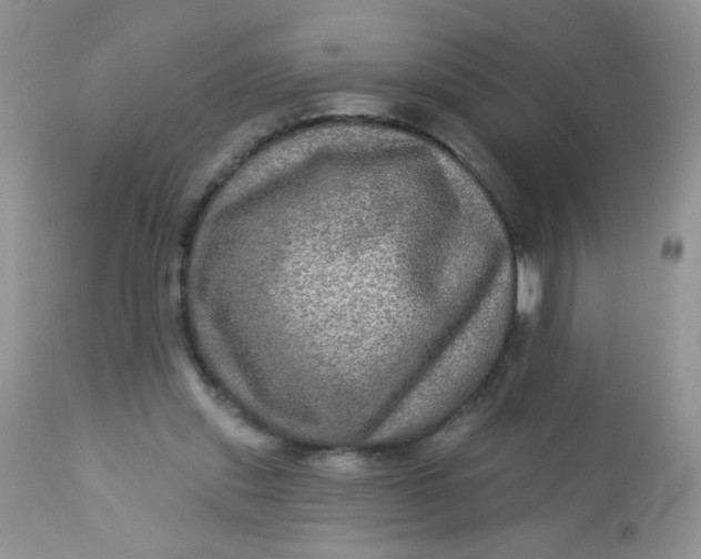 X0000113570253200910091445