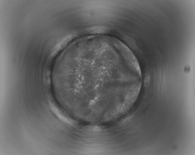 X0000113570254200910091445