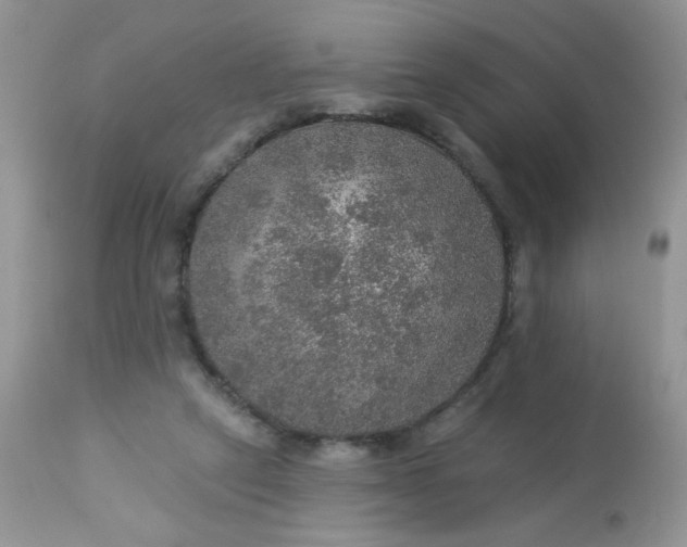 X0000113570257200910091445