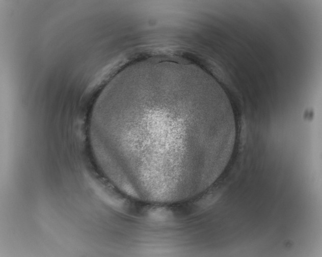 X0000113570258200910091445