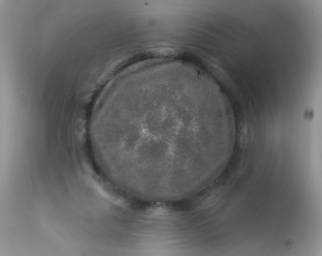 X0000113570259200910091445