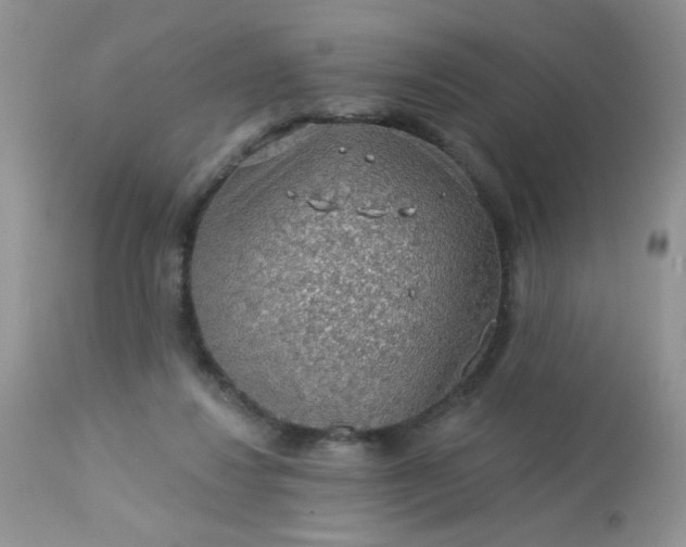 X0000113570260200910091445