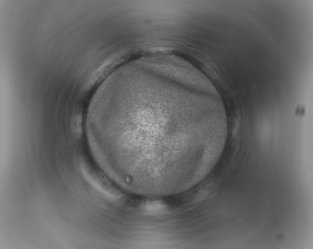 X0000113570262200910091445