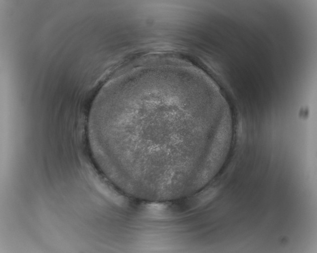 X0000113570265200910091445