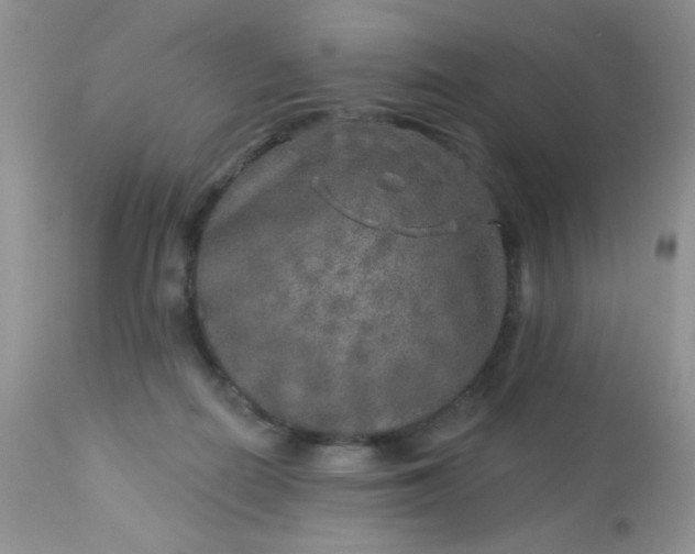 X0000113570266200910091445