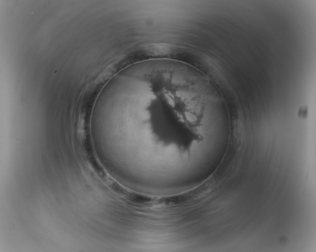 X0000113570267200910091445