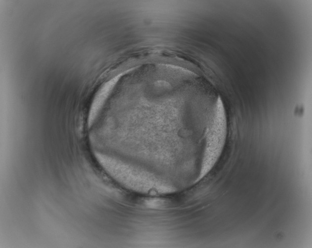 X0000113570268200910091445