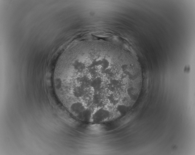 X0000113570269200910091445