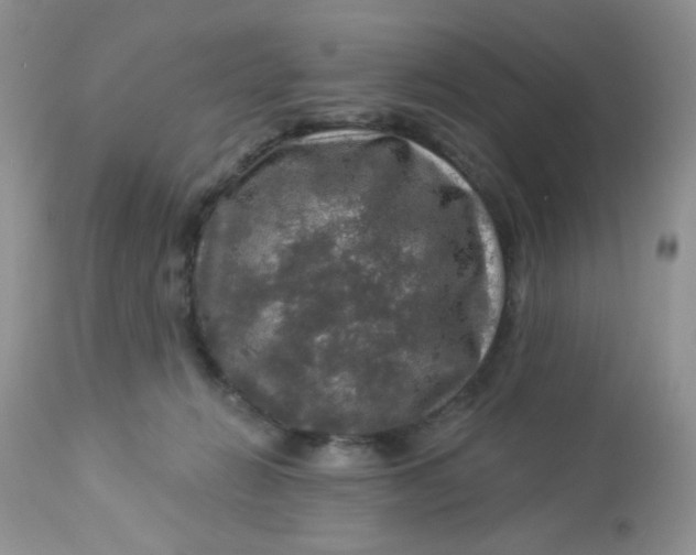 X0000113570270200910091446