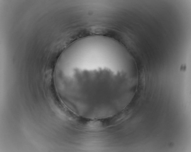 X0000113570271200910091446