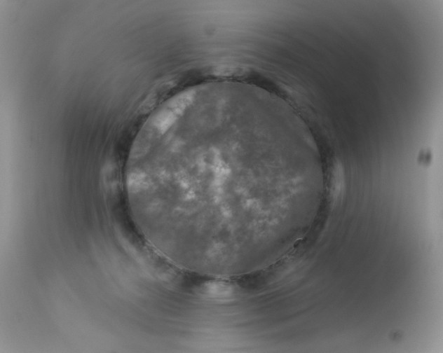 X0000113570272200910091446