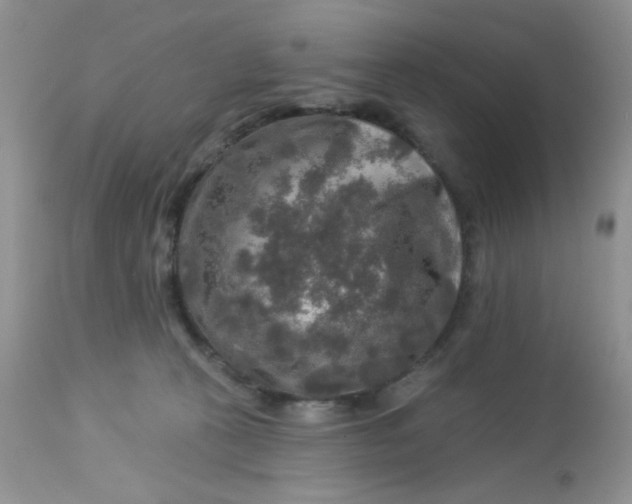 X0000113570273200910091446