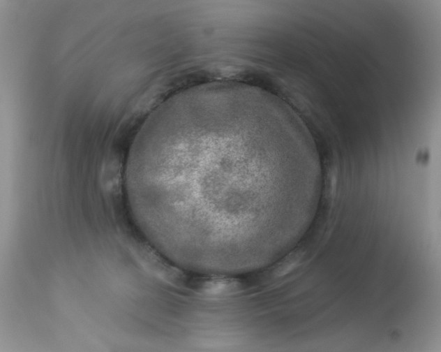 X0000113570274200910091446