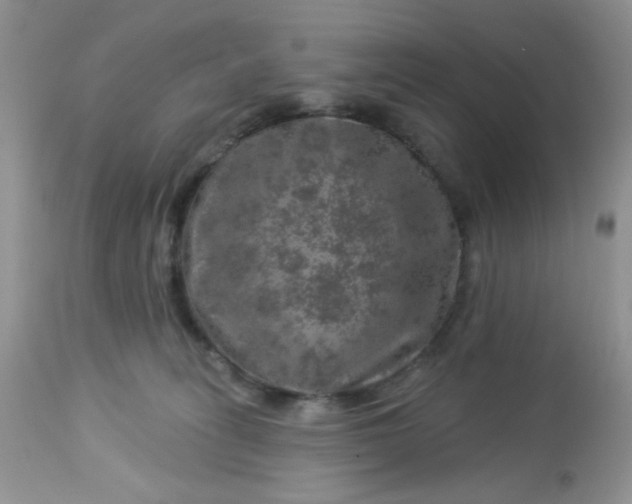 X0000113570275200910091446