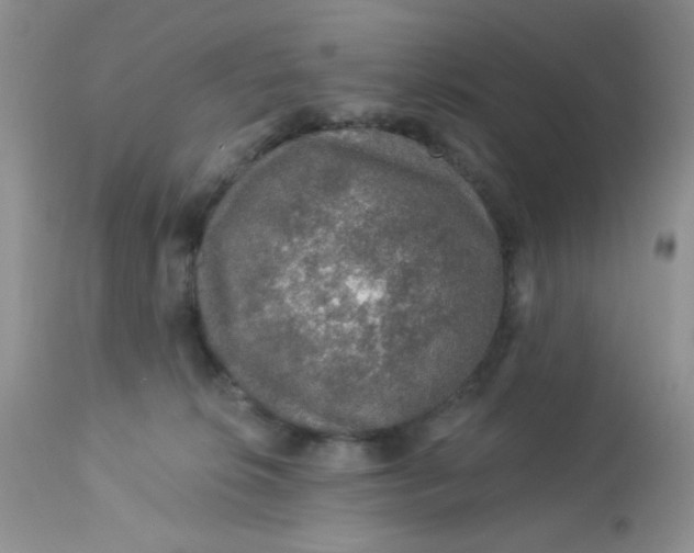 X0000113570276200910091446