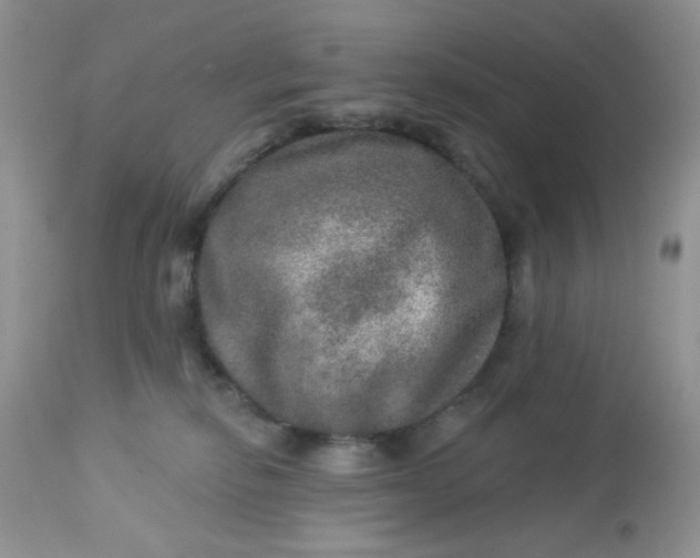 X0000113570278200910091446